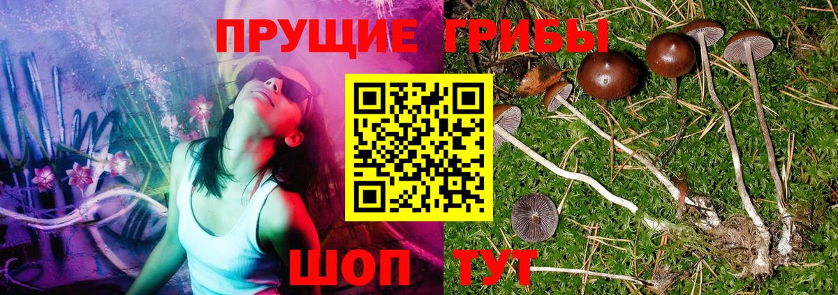 Галлюциногенные грибы ЛСД Усть-Илимск