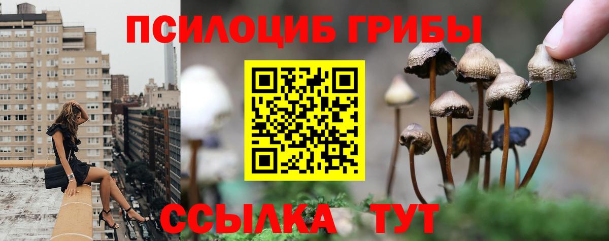 купить наркотик  Псилоцибиновые грибы MAGIC MUSHROOMS  Вход с VPN  Усть-Илимск 